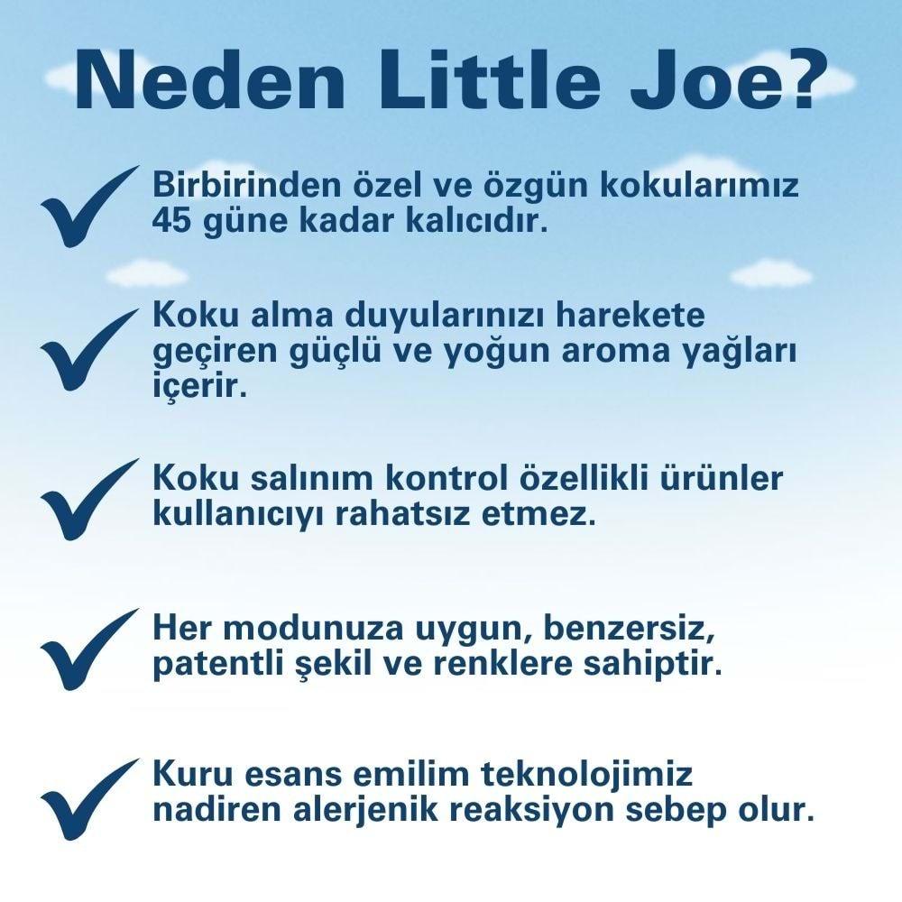 Little Joe Aşk Serisi 2li Paket Şekerli Meyve Araç Kokusu (Candy Kisses) -45 Gün -Oto Kokusu Parfüm